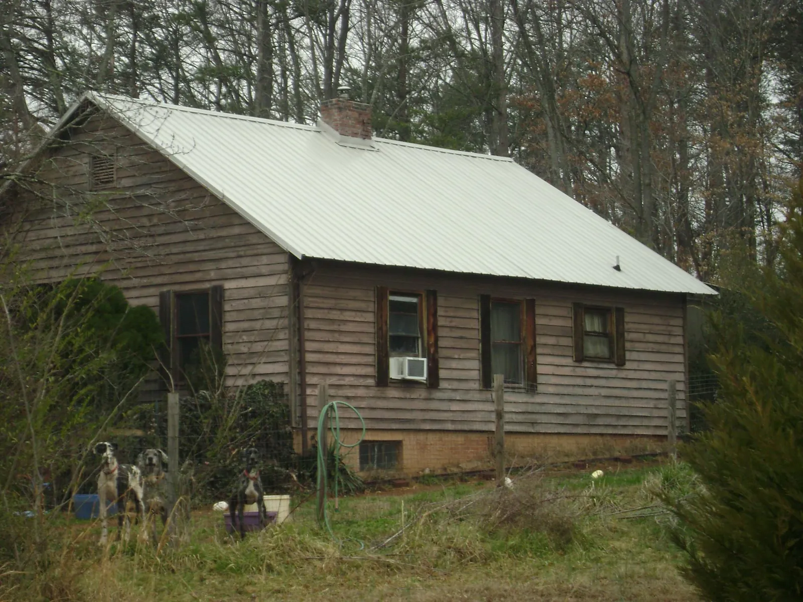 White metal roof on an old wood sided farmhouse, from a Asphalt Shingle Roof Repair job in Casper